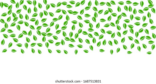 Fallende grüne Blätter. Frischer Tee, der zufällig fliegt. Frühlingsblümchen tanzen auf weißem Hintergrund. Schöne Sommer-Overlay-Vorlage. Atemberaubende Frühlingsumsätze Vektorillustration Illustration.