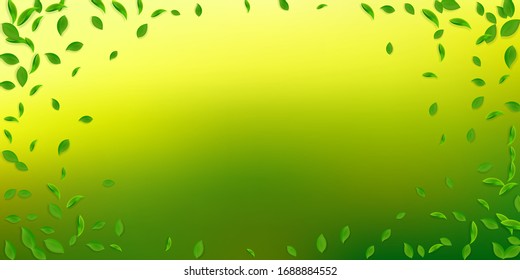 Cae hojas verdes. Salsas caóticas de té fresco volando. Follaje de primavera bailando sobre fondo blanco. Atractiva plantilla de superposición de verano. Ilustración vectorial de venta de resortes energéticos.