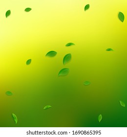 Falling green leaves. Fresh tea random leaves flying. Spring foliage dancing on yellow green background. Actual summer overlay template. Magnificent spring sale vector illustration.