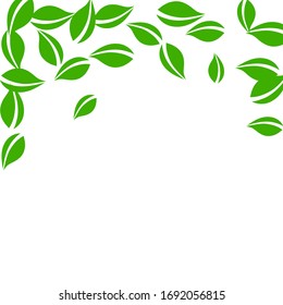 Falling green leaves. Fresh tea neat leaves flying. Spring foliage dancing on white background. Adorable summer overlay template. Breathtaking spring sale vector illustration.