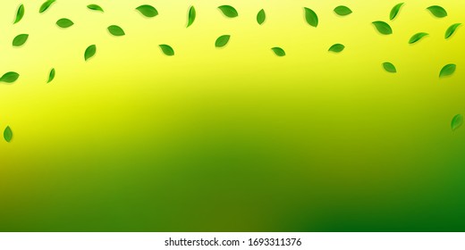 Falling green leaves. Fresh tea random leaves flying. Spring foliage dancing on white background. Amusing summer overlay template. Incredible spring sale vector illustration.
