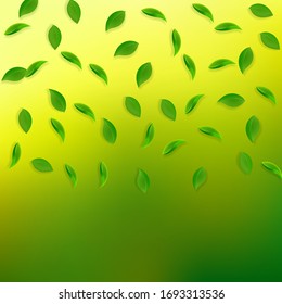 Falling green leaves. Fresh tea random leaves flying. Spring foliage dancing on yellow green background. Alive summer overlay template. Posh spring sale vector illustration.