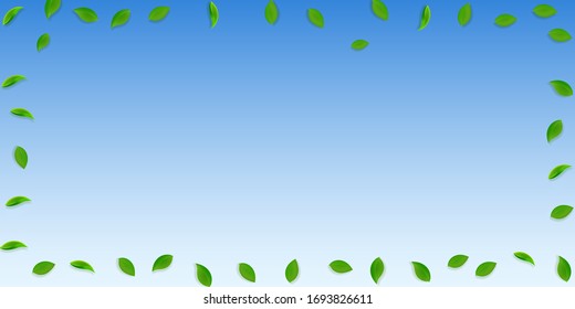 Falling green leaves. Fresh tea random leaves flying. Spring foliage dancing on blue sky background. Amusing summer overlay template. Positive spring sale vector illustration.