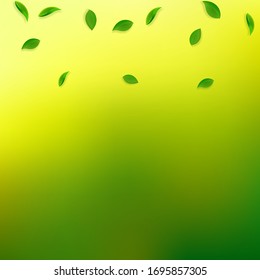 Cae hojas verdes. Salen al azar té fresco. Follaje de primavera bailando sobre fondo verde amarillo. Plantilla de superposición de verano viva. Ilustración vectorial de venta de resorte atractiva.