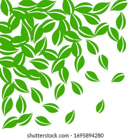 Falling green leaves. Fresh tea neat leaves flying. Spring foliage dancing on white background. Adorable summer overlay template. Overwhelming spring sale vector illustration.