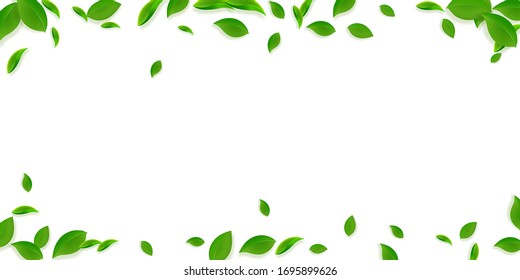 Cae hojas verdes. Salsas caóticas de té fresco volando. Follaje de primavera bailando sobre fondo verde amarillo. Divertido modelo de superposición de verano. Extraordinaria ilustración vectorial de venta por resorte.