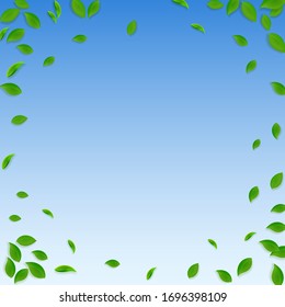 Falling green leaves. Fresh tea chaotic leaves flying. Spring foliage dancing on blue sky background. Alluring summer overlay template. Eminent spring sale vector illustration.