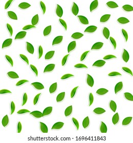 Falling green leaves. Fresh tea random leaves flying. Spring foliage dancing on white background. Alive summer overlay template. Surprising spring sale vector illustration.
