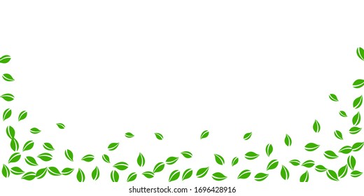 Cae hojas verdes. Salen al azar té fresco. Follaje de primavera bailando sobre fondo blanco. Divertido modelo de superposición de verano. Ilustración vectorial de venta en resorte vivo.