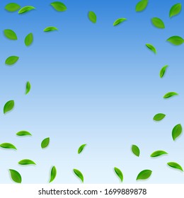Falling green leaves. Fresh tea random leaves flying. Spring foliage dancing on blue sky background. Alluring summer overlay template. Bewitching spring sale vector illustration.