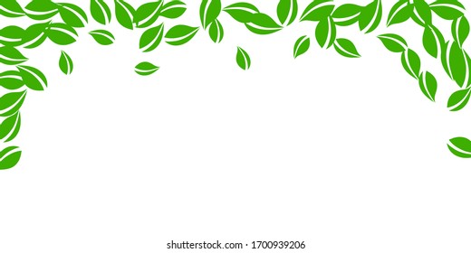 Falling green leaves. Fresh tea neat leaves flying. Spring foliage dancing on white background. Amusing summer overlay template. Delicate spring sale vector illustration.