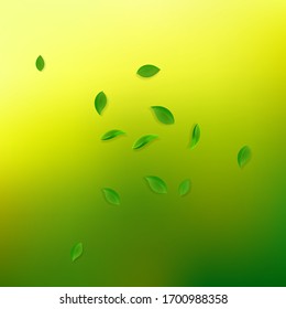 Fallende grüne Blätter. Frischer Tee, der zufällig fliegt. Frühlingsblümchen tanzen auf gelbem grünem Hintergrund. Aktuelle Sommerüberlagerungsvorlage. Seltene Frühlingsmaschine Vektorillustration Illustration.