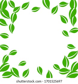 Falling green leaves. Fresh tea neat leaves flying. Spring foliage dancing on white background. Alluring summer overlay template. Delightful spring sale vector illustration.