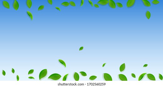 Cae hojas verdes. Salsas caóticas de té fresco volando. Follaje de primavera bailando sobre fondo azul del cielo. Plantilla de superposición de verano. Moderna ilustración vectorial de venta de resorte.