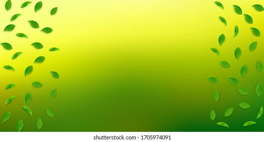 Falling green leaves. Fresh tea random leaves flying. Spring foliage dancing on white background. Alluring summer overlay template. Ravishing spring sale vector illustration.