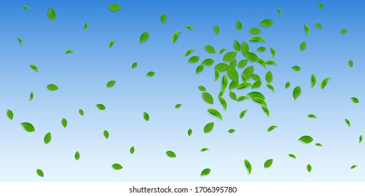 Falling green leaves. Fresh tea chaotic leaves flying. Spring foliage dancing on blue sky background. Amazing summer overlay template. Breathtaking spring sale vector illustration.