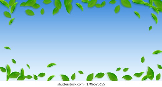 Falling green leaves. Fresh tea chaotic leaves flying. Spring foliage dancing on blue sky background. Appealing summer overlay template. Brilliant spring sale vector illustration.
