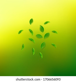 Cae hojas verdes. Salen al azar té fresco. Follaje de primavera bailando sobre fondo verde amarillo. Admirable plantilla de superposición de verano. Ilustración vectorial de venta de resorte.