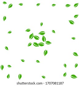 Falling green leaves. Fresh tea random leaves flying. Spring foliage dancing on white background. Actual summer overlay template. Marvelous spring sale vector illustration.