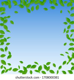 Cae hojas verdes. Salsas caóticas de té fresco volando. Follaje de primavera bailando sobre fondo azul del cielo. Plantilla de superposición de verano aceptable. Fascinante ilustración vectorial de venta primaveral.