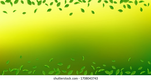 Falling green leaves. Fresh tea chaotic leaves flying. Spring foliage dancing on white background. Alluring summer overlay template. Overwhelming spring sale vector illustration.