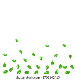 Cae hojas verdes. Salen al azar té fresco. Follaje de primavera bailando sobre fondo blanco. Plantilla de superposición de verano viva. Dramática ilustración vectorial de venta de resorte.
