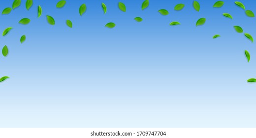 Falling green leaves. Fresh tea random leaves flying. Spring foliage dancing on blue sky background. Amusing summer overlay template. Cute spring sale vector illustration.