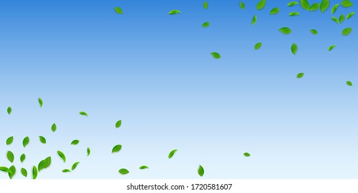 Cae hojas verdes. Salsas caóticas de té fresco volando. Follaje de primavera bailando sobre fondo azul del cielo. Plantilla de superposición de verano. Ilustración vectorial de venta con resorte.