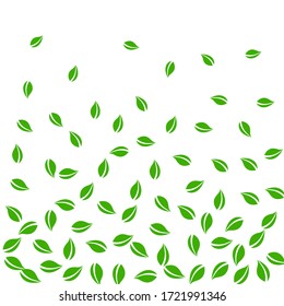Falling green leaves. Fresh tea random leaves flying. Spring foliage dancing on white background. Adorable summer overlay template. Wonderful spring sale vector illustration.