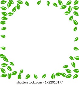 Falling green leaves. Fresh tea random leaves flying. Spring foliage dancing on white background. Alluring summer overlay template. Flawless spring sale vector illustration.