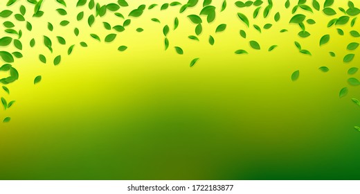 Cae hojas verdes. Salsas caóticas de té fresco volando. Follaje de primavera bailando sobre fondo blanco. Divertido modelo de superposición de verano. Ilustración vectorial de venta de resorte imaginativa.
