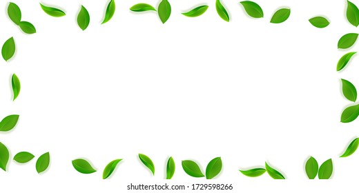 Falling green leaves. Fresh tea neat leaves flying. Spring foliage dancing on yellow green background. Amusing summer overlay template. Pleasant spring sale vector illustration.