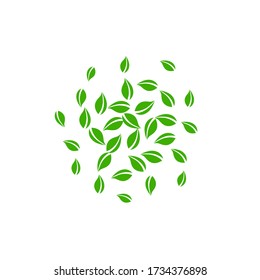 Falling green leaves. Fresh tea random leaves flying. Spring foliage dancing on white background. Admirable summer overlay template. Amusing spring sale vector illustration.