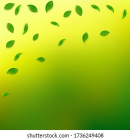 Caer hojas verdes. Saltos al azar de té fresco volando. Follaje de primavera bailando sobre fondo verde amarillo. Admirable plantilla de superposición de verano. Ilustración vectorial de venta de resorte magnético.