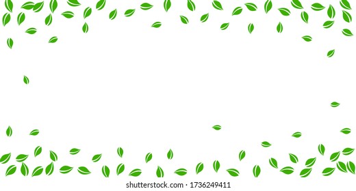 Fallende grüne Blätter. Frische Tee zufällig Blätter fliegen. Frühlingstracht auf weißem Hintergrund. Appealing Summer Overlay Vorlage. Wunderbare Frühjahrsvektorillustrierung.