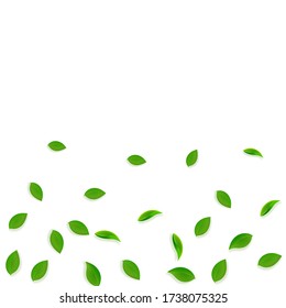 Falling green leaves. Fresh tea random leaves flying. Spring foliage dancing on white background. Adorable summer overlay template. Interesting spring sale vector illustration.