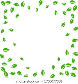 Falling green leaves. Fresh tea random leaves flying. Spring foliage dancing on white background. Alluring summer overlay template. Divine spring sale vector illustration.