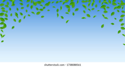 Falling green leaves. Fresh tea chaotic leaves flying. Spring foliage dancing on blue sky background. Amusing summer overlay template. Ideal spring sale vector illustration.