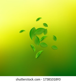 Caer hojas verdes. Saltos caóticos de té fresco volando. Follaje de primavera bailando sobre fondo verde amarillo. Plantilla de superposición de verano real. Ilustración vectorial de venta de resorte que sopla la mente.