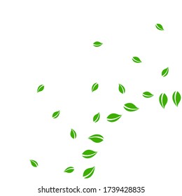 Falling green leaves. Fresh tea random leaves flying. Spring foliage dancing on white background. Actual summer overlay template. Excellent spring sale vector illustration.
