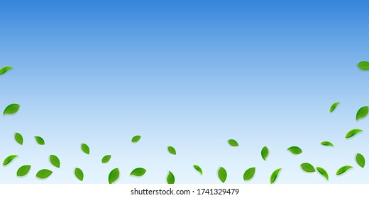 Caer hojas verdes. Saltos al azar de té fresco volando. Follaje de primavera bailando sobre fondo azul del cielo. Increíble plantilla de superposición de verano. Digna ilustración vectorial de venta de primavera.