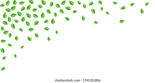 Caer hojas verdes. Saltos al azar de té fresco volando. Bailando follaje de primavera sobre fondo blanco. Increíble plantilla de superposición de verano. Maravillosa ilustración vectorial de venta primavera.
