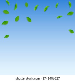 Falling green leaves. Fresh tea random leaves flying. Spring foliage dancing on blue sky background. Adorable summer overlay template. Bewitching spring sale vector illustration.