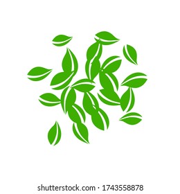 Falling green leaves. Fresh tea neat leaves flying. Spring foliage dancing on white background. Actual summer overlay template. Trending spring sale vector illustration.