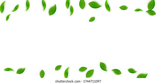 Falling green leaves. Fresh tea neat leaves flying. Spring foliage dancing on yellow green background. Amusing summer overlay template. Fancy spring sale vector illustration.