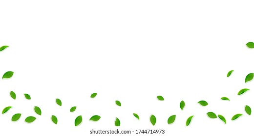 Falling green leaves. Fresh tea random leaves flying. Spring foliage dancing on yellow green background. Amusing summer overlay template. Admirable spring sale vector illustration.