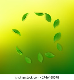 Caer hojas verdes. Salen hojas frescas y limpias volando. Follaje de primavera bailando sobre fondo verde amarillo. Plantilla de superposición de verano atractiva. Ilustración vectorial de venta de primavera activa.