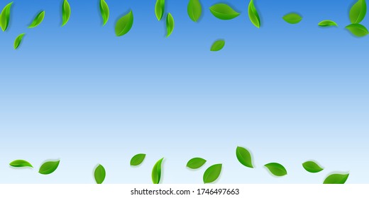 Falling green leaves. Fresh tea neat leaves flying. Spring foliage dancing on blue sky background. Amusing summer overlay template. Fabulous spring sale vector illustration.