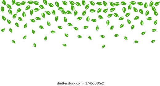 Falling green leaves. Fresh tea random leaves flying. Spring foliage dancing on white background. Amusing summer overlay template. Unusual spring sale vector illustration.