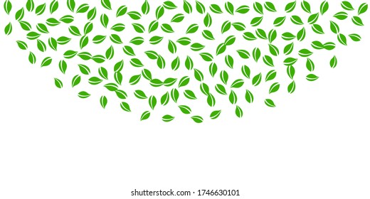 Caer hojas verdes. Saltos al azar de té fresco volando. Bailando follaje de primavera sobre fondo blanco. Apelación de la plantilla de superposición de verano. Ilustración vectorial de venta de resorte mesmérico.